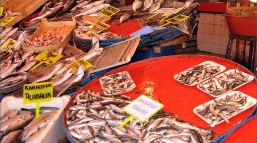 Av Yasağının Başlaması Balık Fiyatlarını D&uuml;ş&uuml;rd&uuml;