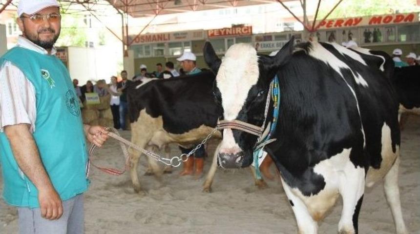 Miss Damızlık, 28 Nisan&rsquo;da.