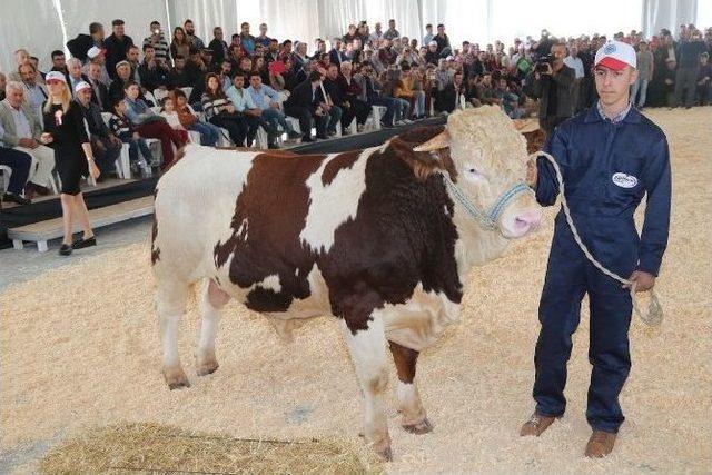 Tarım Ve Hayvancılık Sektöründen Dev Buluşma