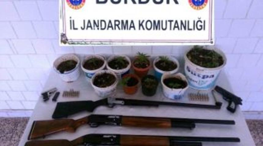 &Ccedil;i&ccedil;ek Saksılarından Kenevir &Ccedil;ıktı