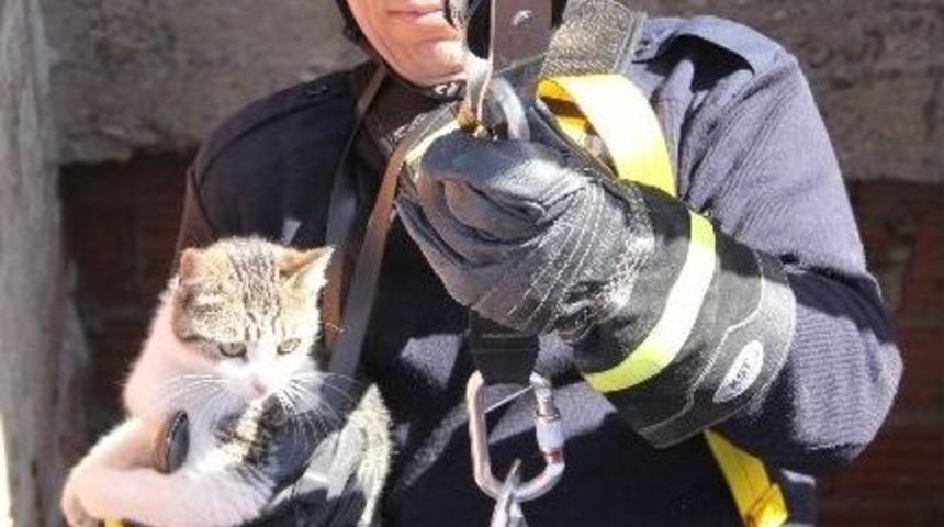 Asansör Boşluğunda Mahsur Kalan Kediyi İtfaiye Kurtardı