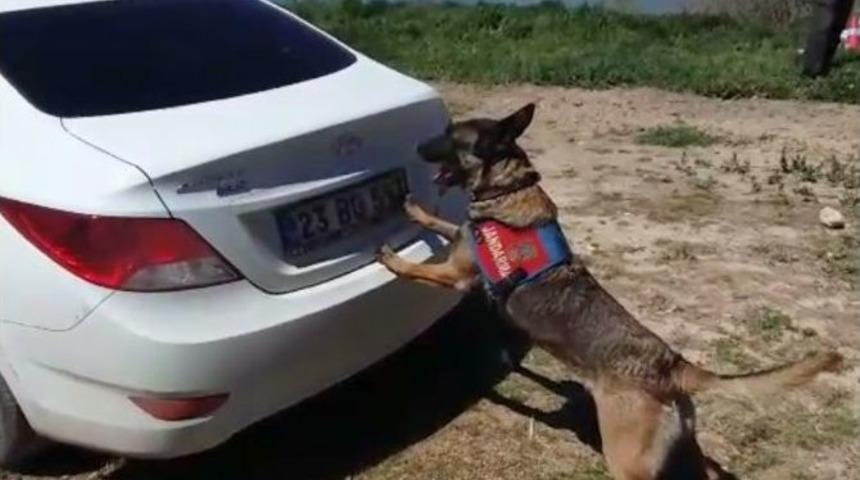 Jandarmadan Ka&ccedil;an Ara&ccedil;ta 50 Kilo Esrar Ele Ge&ccedil;irildi