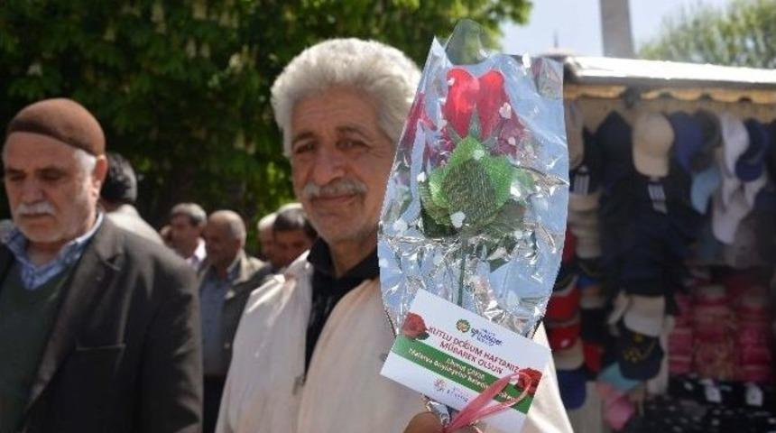 K&uuml;lt&uuml;r A.ş, 10 Bin G&uuml;l Dağıttı