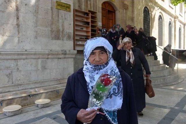 Kültür A.ş, 10 Bin Gül Dağıttı