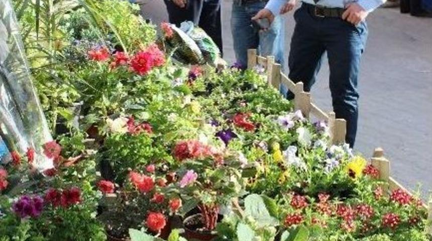 Emirdağ Belediyesi Zabıta Ekipleri Denetimlerini Arttırdı