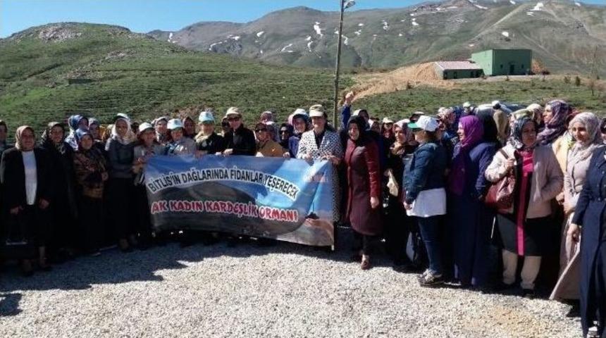 Ak Partili Kadınların Bitlis &Ccedil;ıkarması