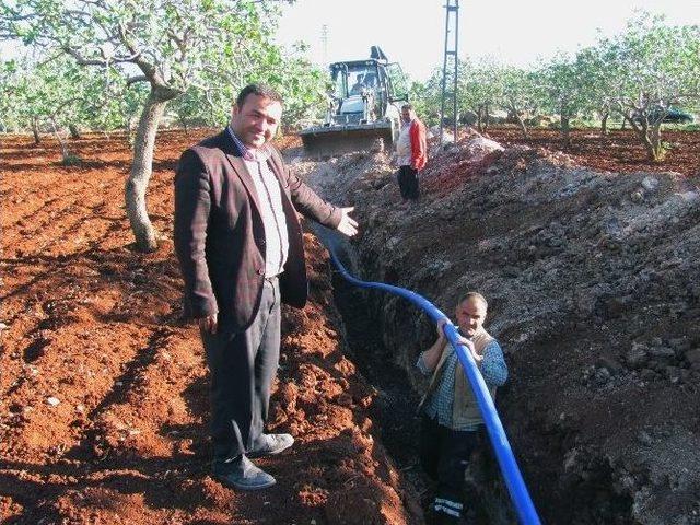 Gölete Dönen Fıstık Bahçesindeki Su Tahliye Edildi