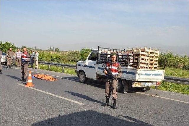 Aydın’da Trafik Kazası, Motosiklet Sürücüsü Genç Feci Şekilde Hayatını Kaybetti