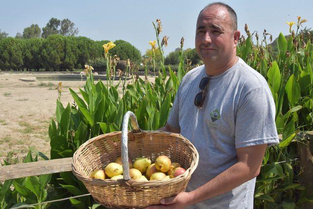 Aslanlara, kaplanlara, fillere çocukları gibi bakıyorlar