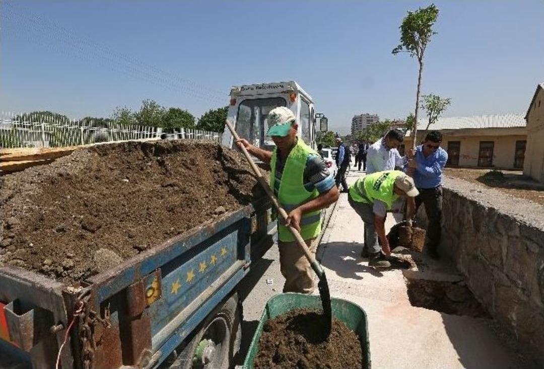 Buca&rsquo;da Yeşil Uyanış