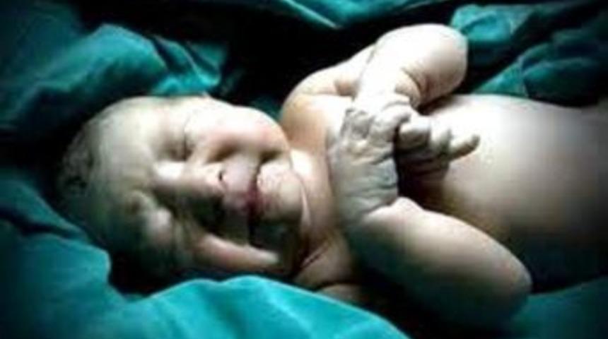 Aydın&rsquo;da En &Ccedil;ok Doğum Temmuz Ayında Ger&ccedil;ekleşti