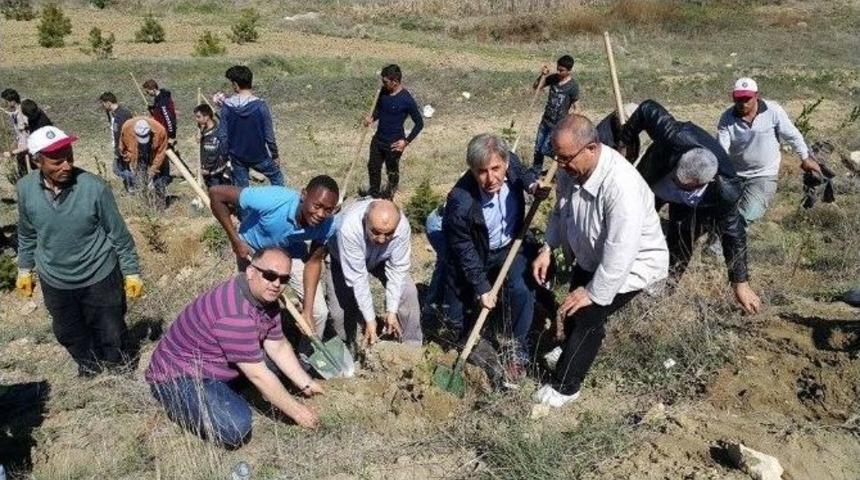 Yabancı Uyruklu &Ouml;ğrenciler Şehitlik Ormanına Fidan Dikti