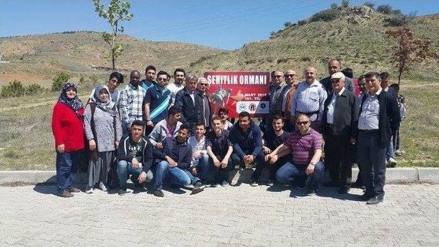 Yabancı Uyruklu Öğrenciler Şehitlik Ormanına Fidan Dikti