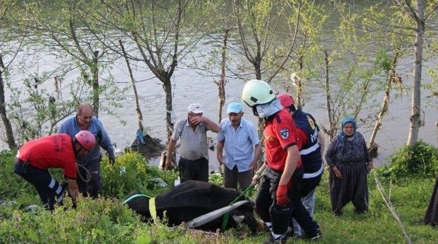 Dereye Yatağına D&uuml;şen İneği İtfaiye Ekipleri Kurtardı