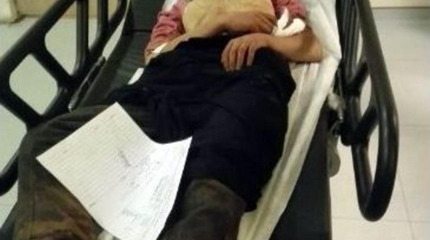 Kayıp Engelli Kız &Ccedil;ocuğu, 12 G&uuml;n Boyunca Ot Yiyerek Hayatta Kalmış