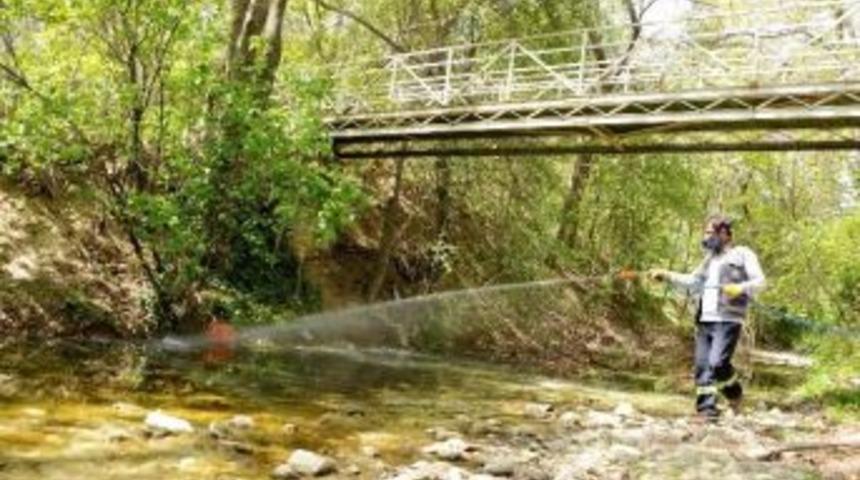 Meram&rsquo;da Haşereyle M&uuml;cadele Başladı