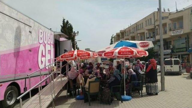 Pembe Prenses Vezirköprü’de