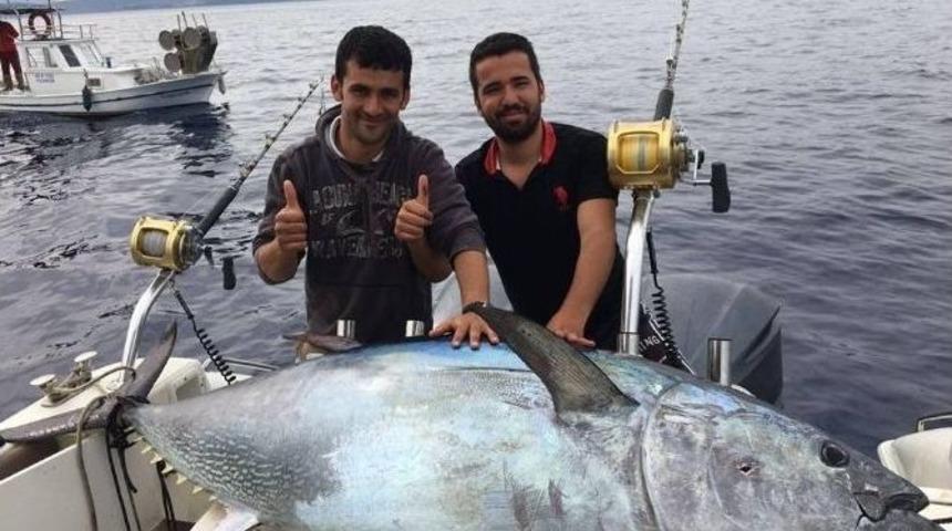 Orkinosla Sevindiler