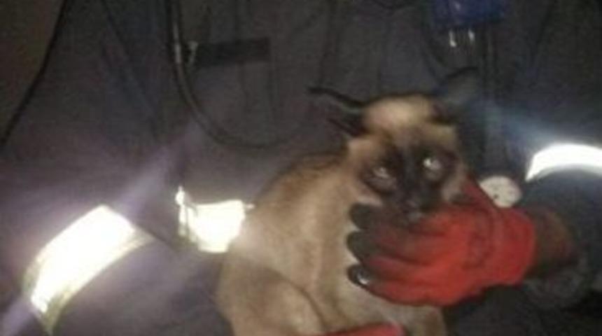 İtfaiye Eri Kediyi Alevlerden Kurtardı