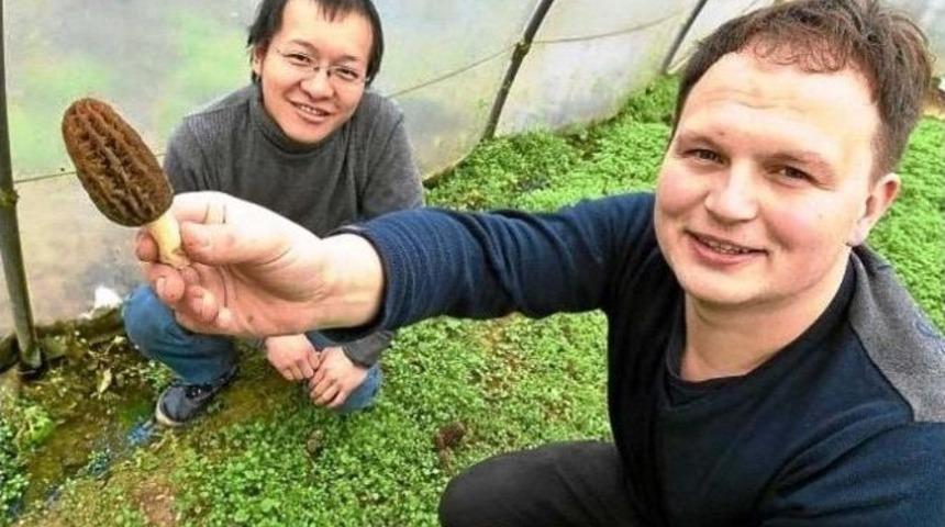 T&uuml;rkiye&rsquo;nin Rakipsiz Olduğu 20 Milyon Euroluk Mantar Pazarı &Ccedil;inlilerin Eline Ge&ccedil;ti