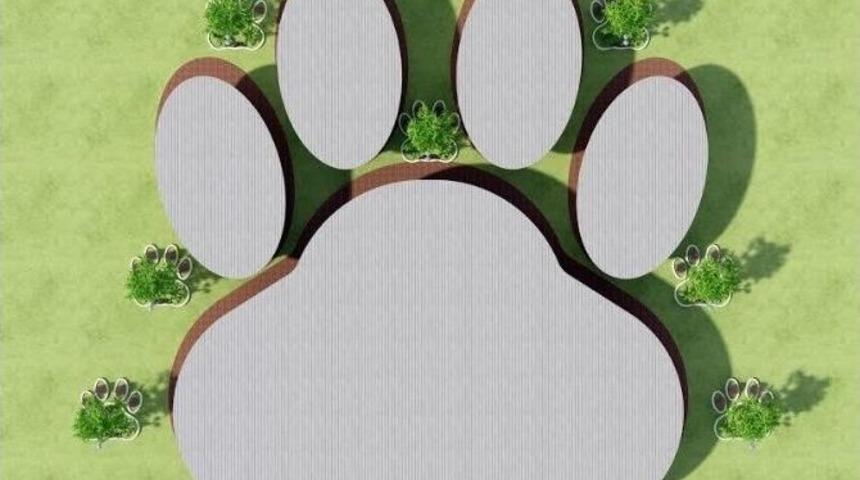 Ordu&rsquo;da Sokak Hayvanları İ&ccedil;in Ev