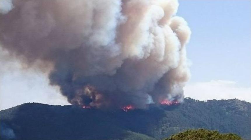 Madran Dağı Alevlere Teslim Oldu