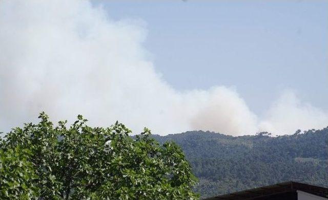 Madran Dağı Alevlere Teslim Oldu