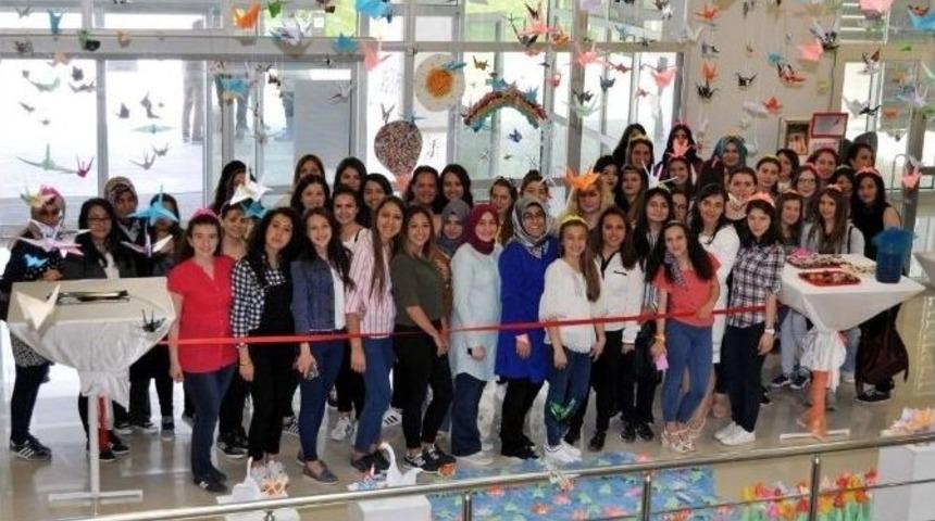 Nk&uuml; &Ouml;ğrencilerinden Baharın Sesi Sergisi