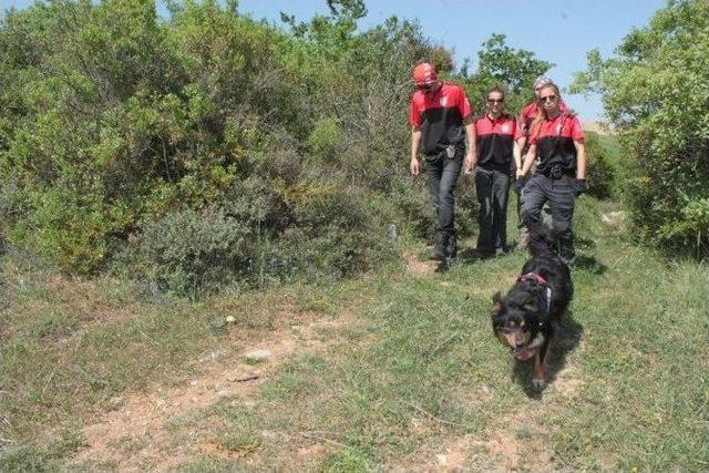 Kayıp Yaşlı Adamı Bulmak İçin Arama Kurtarma Ekipleri Seferber Oldu