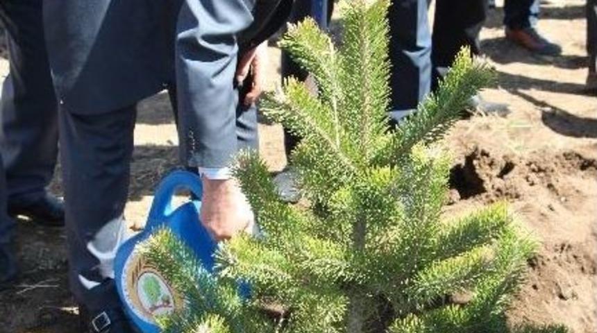 "erzurum&rsquo;un Y&uuml;zleri" Fidanlarla Yeniden &lsquo;can&rsquo;landı