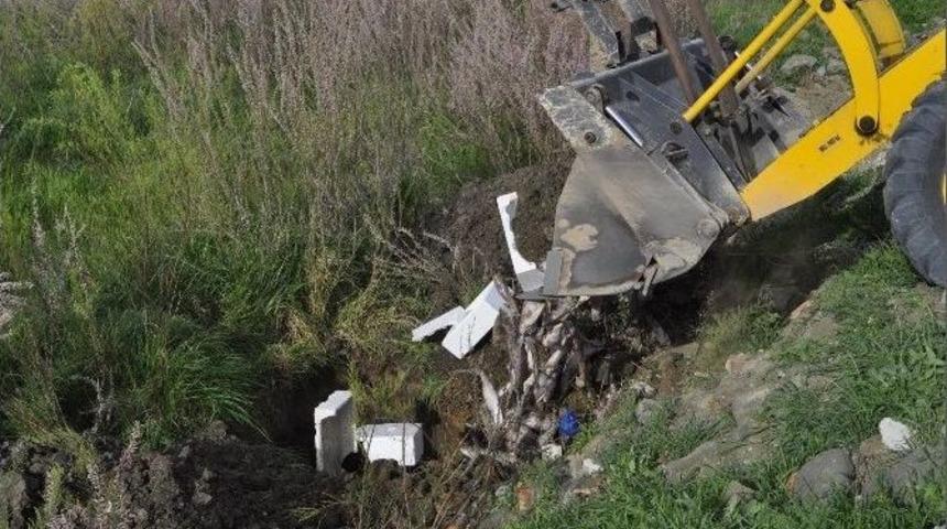 Sungurlu&rsquo;da 800 Kilogram Ka&ccedil;ak Balık Ele Ge&ccedil;irildi