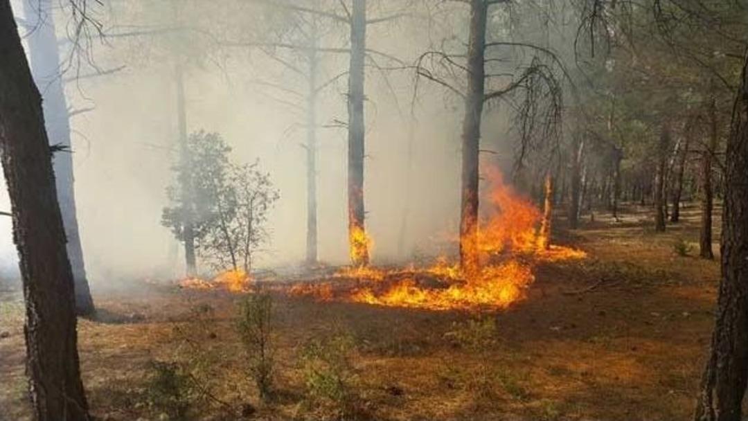 Bilecik Kent Ormanı&rsquo;nda Yangın