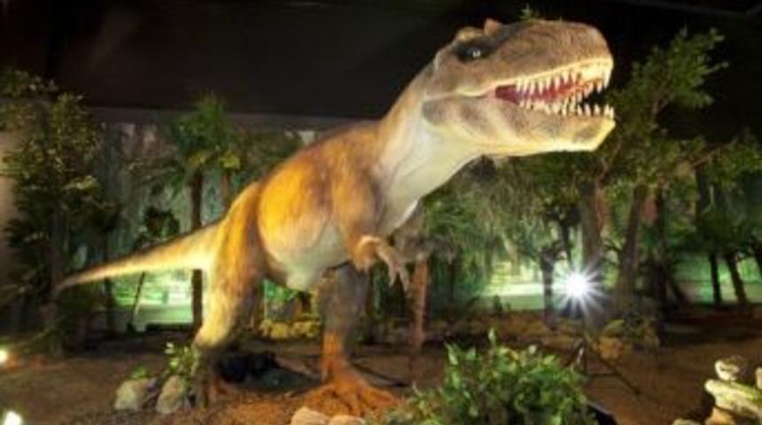 Dinozorlar Bursa&rsquo;ya Geliyor