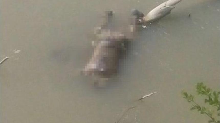 13 G&uuml;nd&uuml;r Kayıp Şahsın Cesedi Derede Bulundu