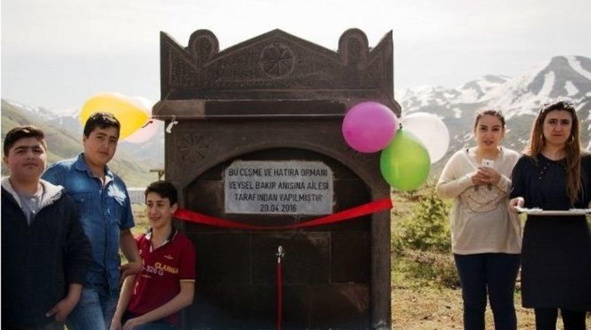 Kanser Hastası Anısına Fidan Dikildi