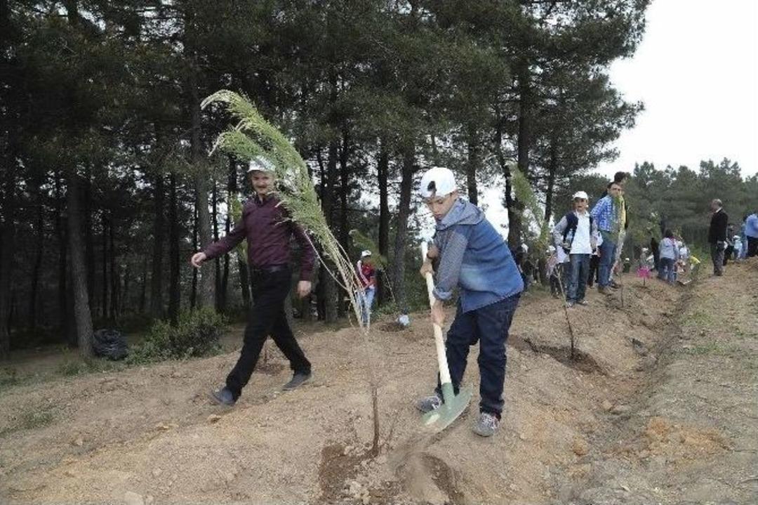 &Ouml;ğrenciler, 571 Fidanı Toprakla Buluşturdu