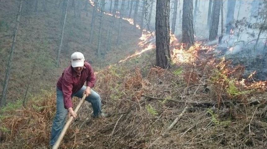 Madran Dağı&rsquo;nda 50 Hektar Alan K&uuml;l Oldu