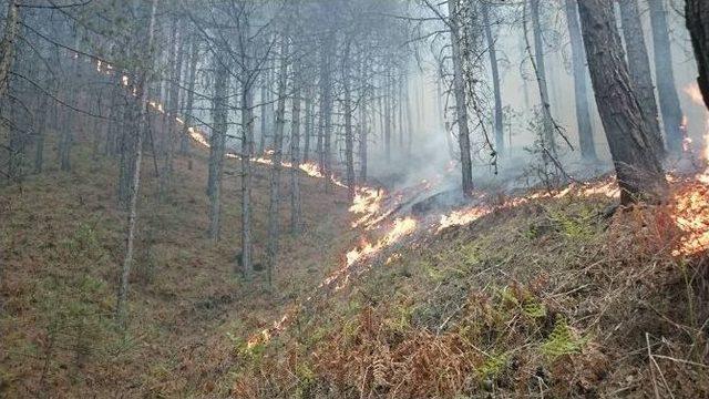 Madran Dağı’nda 50 Hektar Alan Kül Oldu