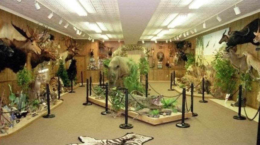 Kepez&rsquo;e Doğal Hayat M&uuml;zesi