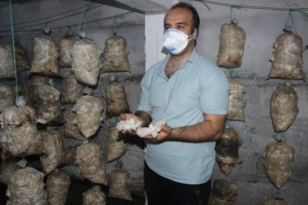 (&ouml;zel Haber) Restoranda Tattığı Mantarla Hayatı Değişti