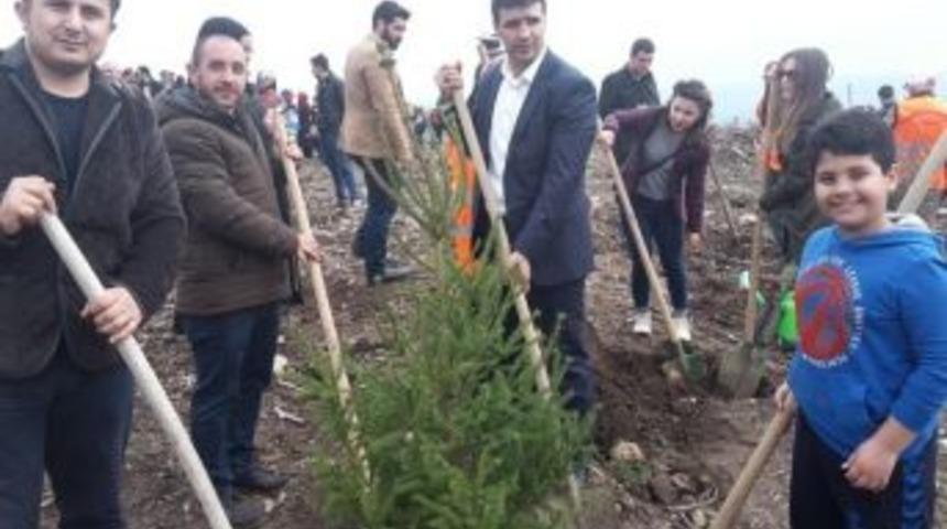 Ak Gen&ccedil;lik 1 Ayda 70 Bin Fidan Dikti