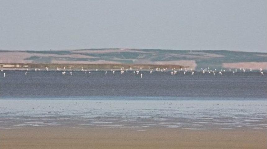 Su Oranının D&uuml;şt&uuml;ğ&uuml; Seyfe&rsquo;yi, Misafirleri Terk Etmiyor