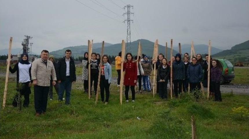 &Ouml;ğrencilere Ağa&ccedil; Ve Hayvan Sevgisi