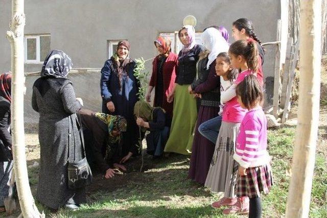 Başkale’de Fidan Dikme Projesi