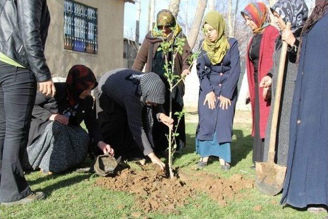 Başkale’de Fidan Dikme Projesi