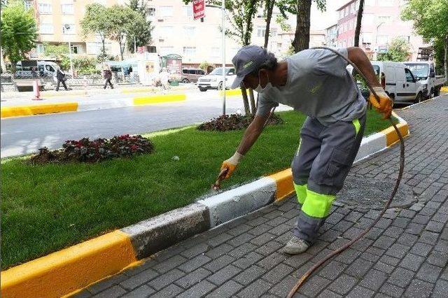 Eyüp’te Cadde Ve Sokaklara Bahar Geldi