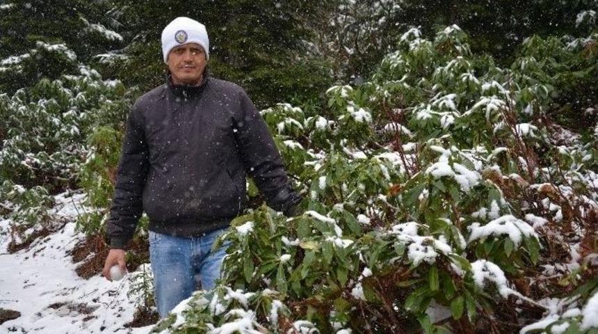 Nisan Karı Şaşırttı