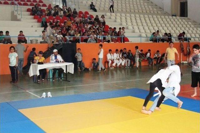 Cizre’de 23 Nisan Etkinlikleri Kapsamında Judo Turnuvası Yapıldı