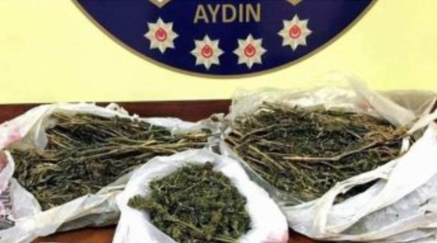 Efeler&rsquo;de 1,2 Kilo Esrar Ele Ge&ccedil;irildi