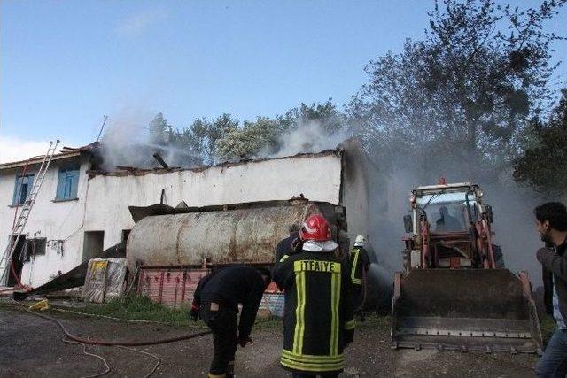 Tosya’da Besi Damı Ve Samanlık Tamamen Yandı